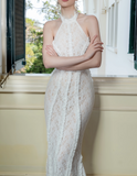 Elegant Lace Mermaid Evening Gown Halter-neck Party Dress Lace-up Long Formal Dress HZ1024