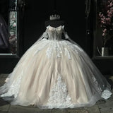 Elegant Ivory Applique Sweet 16 Quinceanera Tulle A-Line Prom Dress Birthday Dress Evening Dress Ball Gown HZ1024