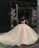 Elegant Shiny Champagne Off-the-shoulder Sweet 16 Quinceanera Tulle A-Line Prom Dress Birthday Dress Evening Dress Ball Gown HZ1024