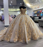 Gorgeous Champagne Sweetheart Applique Sweet 16 Quinceanera A-Line Floor-length Prom Dress Birthday Dress Evening Dress Ball Gown HZ1024