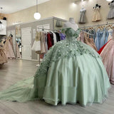 Elegant Sage Green Applique Off-the-shoulder Sweet 16 Quinceanera A-Line Tulle Floor-length Prom Dress Birthday Dress Evening Dress Ball Gown HZ1024