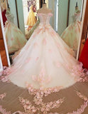 Elegant Sweetheart Pink Applique Sweet 16 Quinceanera A-Line Floor-length Prom Dress Birthday Dress Evening Dress Ball Gown HZ1024