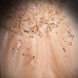 Cute A-line Shiny Tulle with Lace Off Shoulder Party Dress, Long Floor Length Prom Dress HZ1024