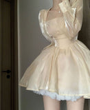 Light Yellow Long Sleeve Short Birthday Party Dress Homecoming Dress HZ1024