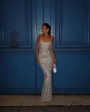 Elegant Silvery Sparkling Rhinestone Evening Gown Sheath Party Dress Long Formal Dress HZ1024