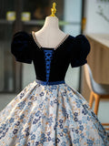 Blue V-Neck Short Sleeve Ball Gown, Blue A-Line Velvet Floor Length Evening Dress HZ1024